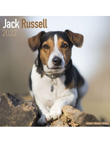 Kalender 2022 Jack Russell