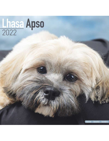 Kalender 2022 Lhasa Apso