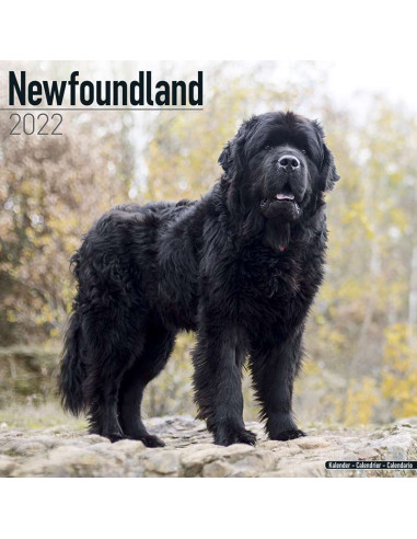 Kalender 2022 Newfoundland
