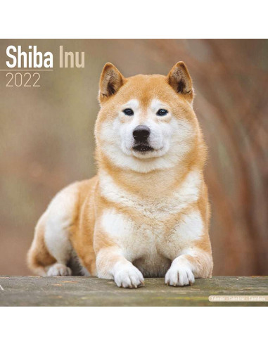 Kalender 2022 Shiba Inu