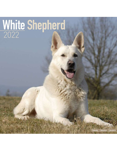 Kalender 2022 White Shepherd