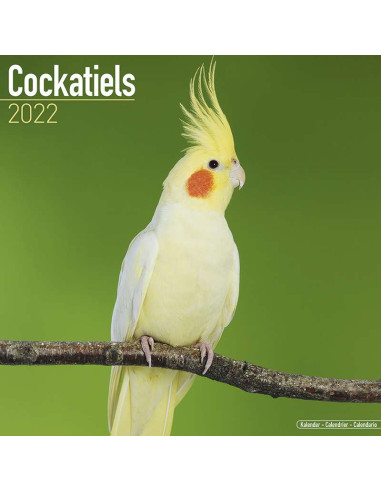Kalender 2022 Cockatiels