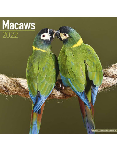 Kalender 2022 Macaws