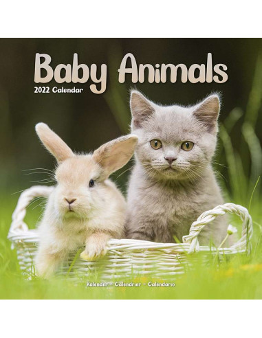 Kalender 2022 Baby Animals