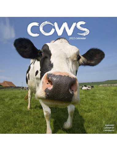Kalender 2022 Cows