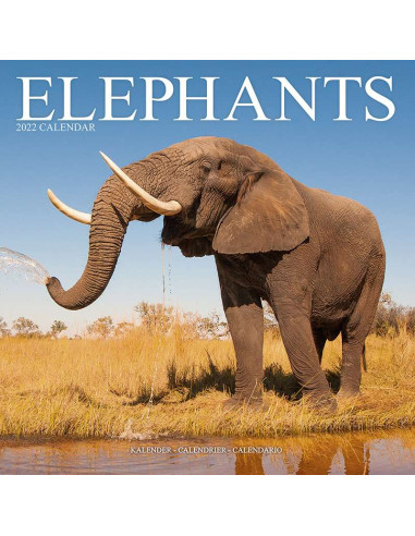 Kalender 2022 Elephants