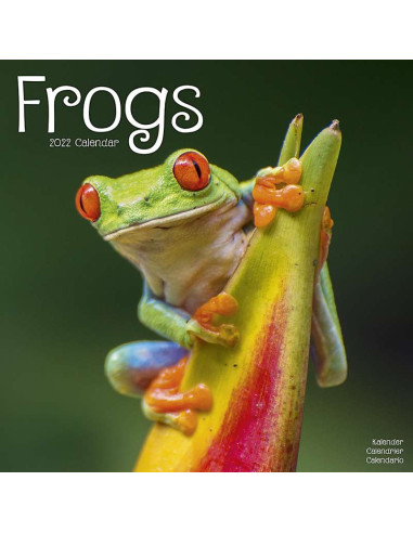 Kalender 2022 Frogs