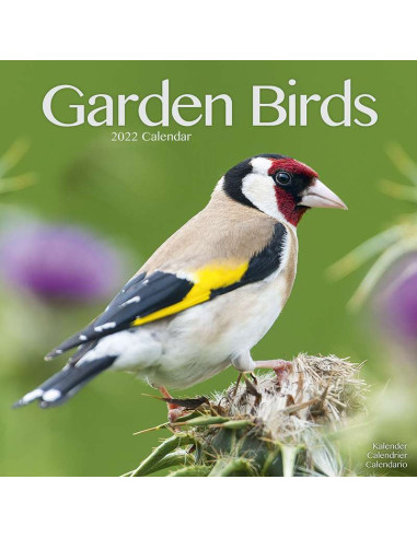 Kalender 2022 Garden Birds