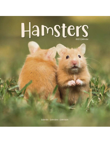 Kalender 2022 Hamsters