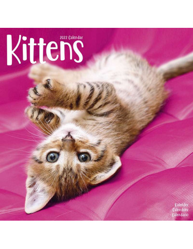 Kalender 2022 Kittens