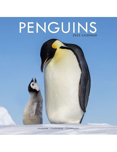 Kalender 2022 Penguins