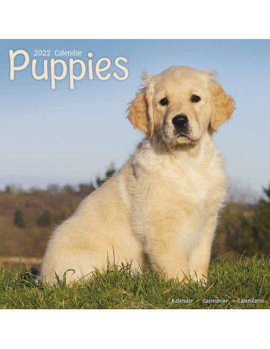 Kalender 2022 Puppies