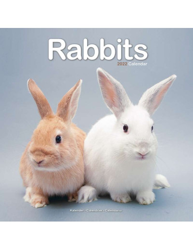 Kalender 2022 Rabbits