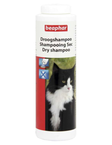 Droogshampoo voor Katten
