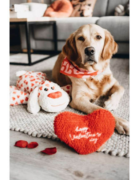 rammelaar tabak Bengelen Valentijn Hond Knuffel voor honden/online kopen