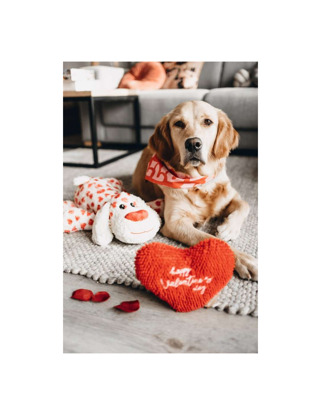 Verbinding Gelijk Loodgieter Valentijn Hond Knuffel voor honden/online kopen