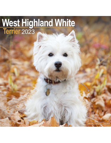 Kalender West Highland White 2023
