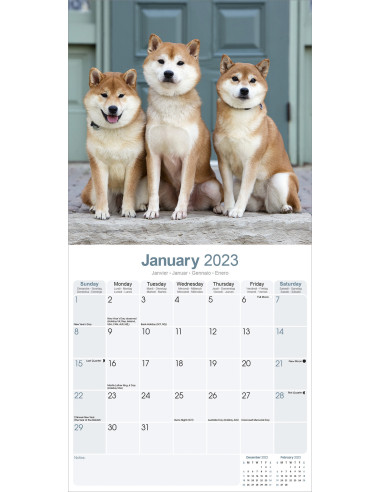 copy of kalender 2020