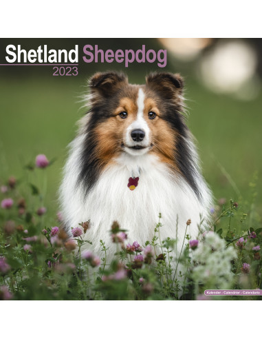 Kalender Shetland Sheepdog 2023