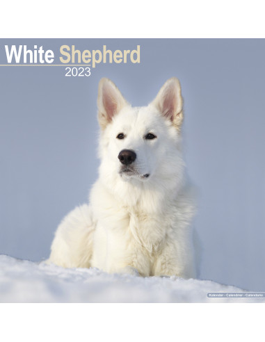 Kalender White Shepherd 2023