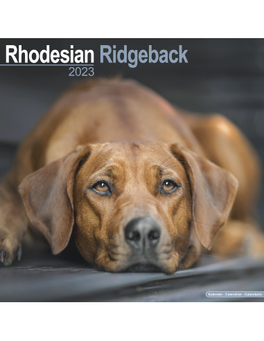 Kalender Rhodesian Ridgeback 2023