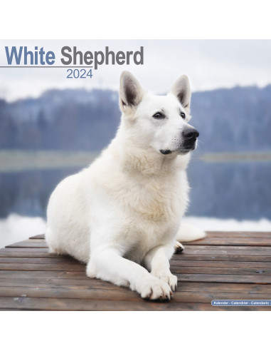 Kalender 2024 White Shepherd