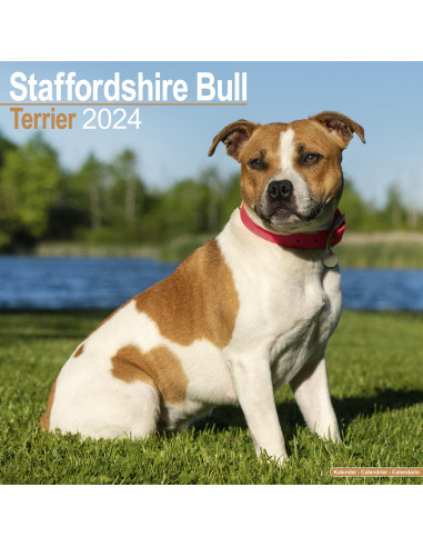 Kalender 2024 Staffordshire Bull