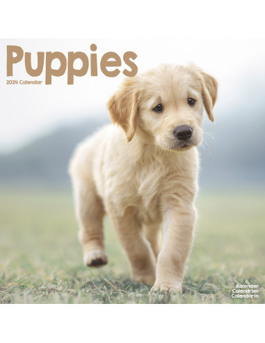 Kalender 2024 Puppies