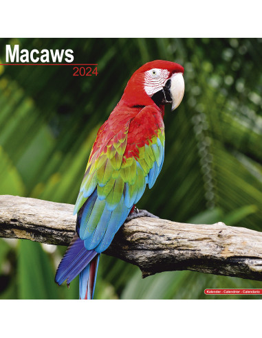 Kalender 2024 Macaws