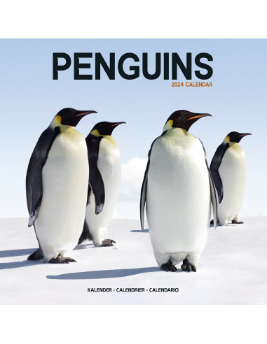 Kalender 2024 Pinguïns