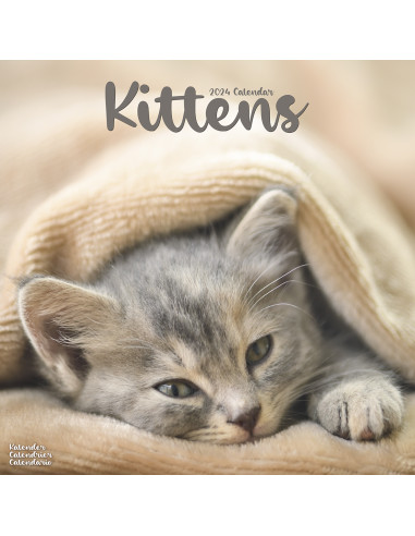 Kalender 2024 Kitten