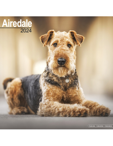 Kalender 2024 Airedale