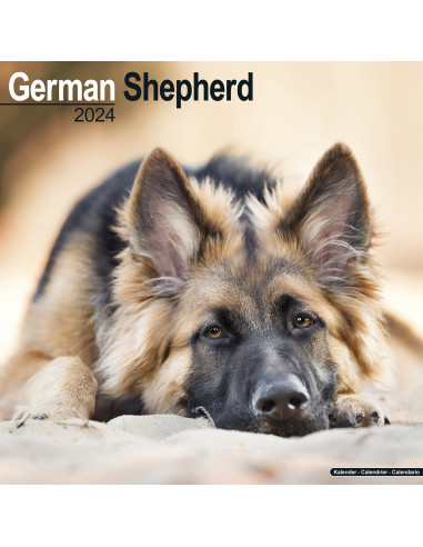 Kalender 2024 German Shepherd