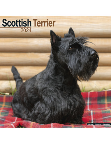 Kalender 2024 Scottish Terrier