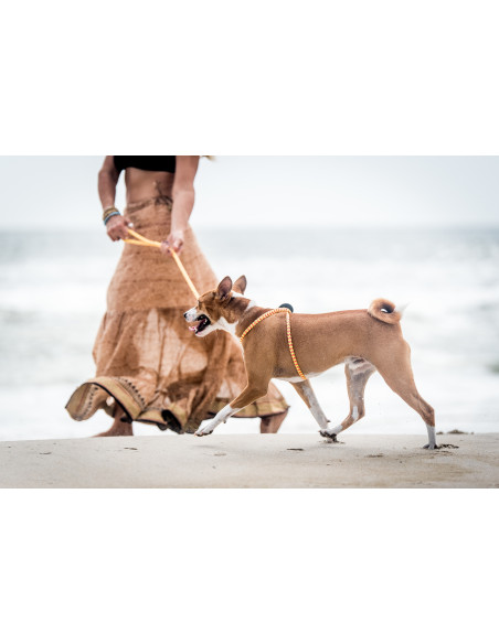 onderwijzen microscopisch weten Anti Trek Tuig Hond Harness Lead | Online kopen