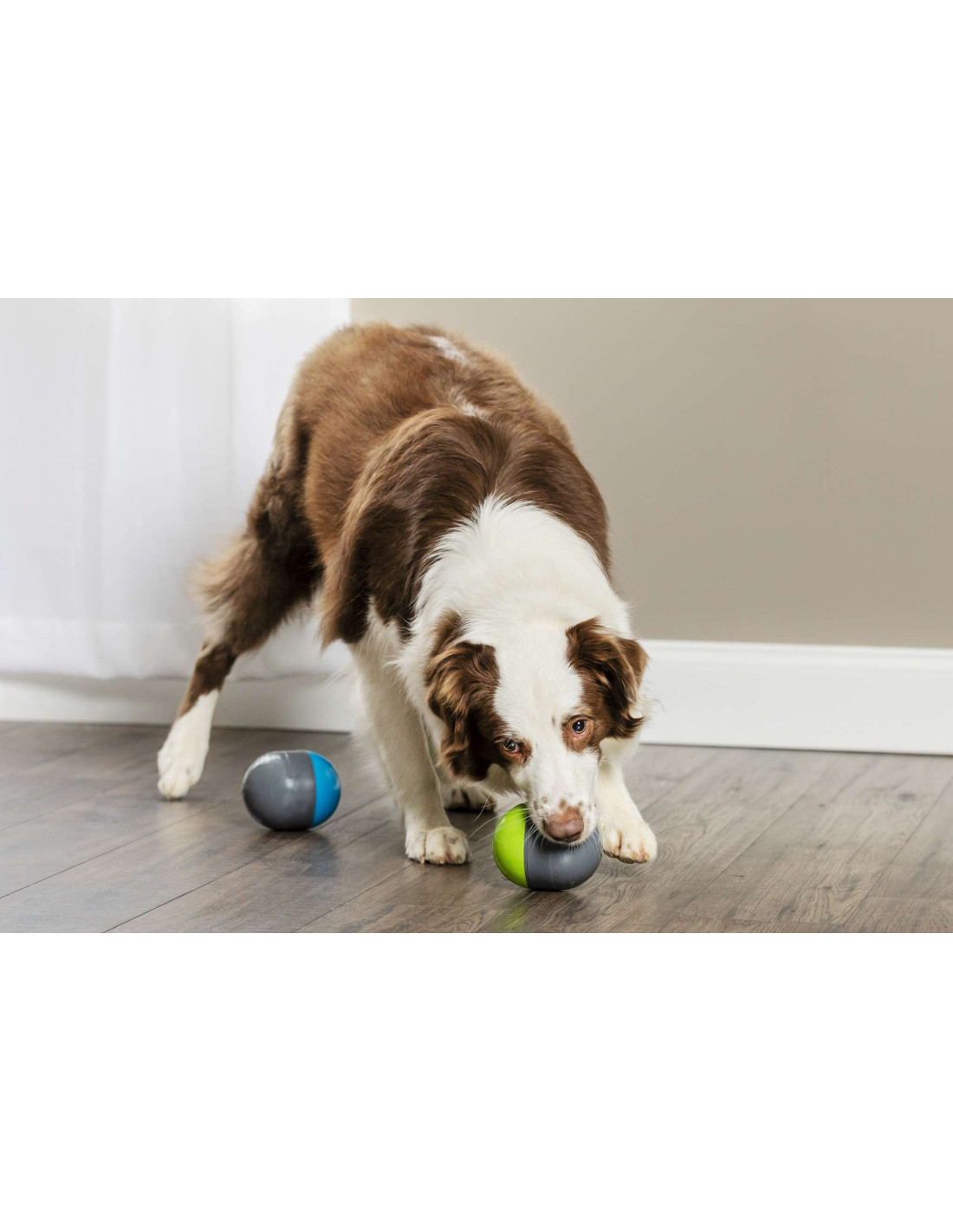 Belofte Mijnenveld de begeleiding PetSafe Richochet Elektronische hondenspeeltjes voor honden/ online kopen