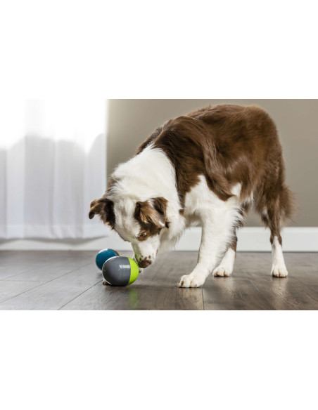 haalbaar Halve cirkel Shetland PetSafe Richochet Elektronische hondenspeeltjes voor honden/ online kopen