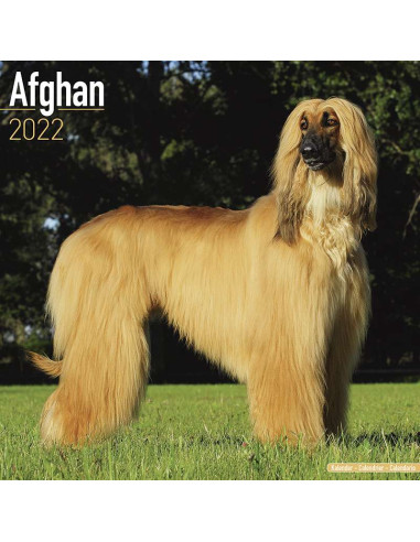 Kalender 2022 Afghan