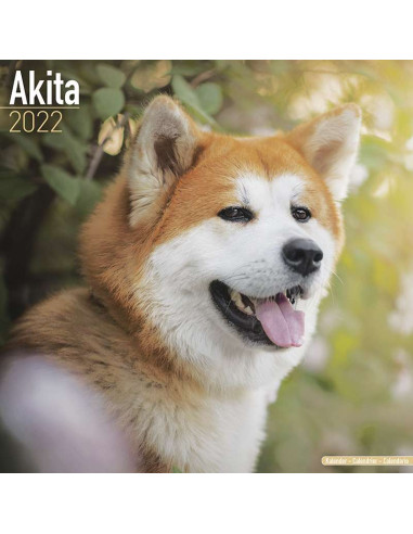 Kalender 2022 Akita