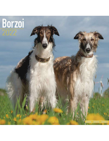 Kalender 2022 Borzoi