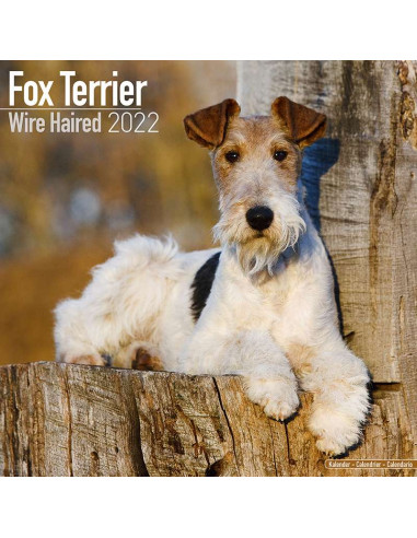 Kalender 2022 Fox Terrier