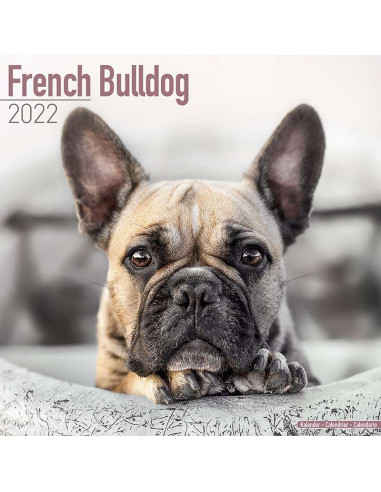 Kalender 2022 French Bulldog