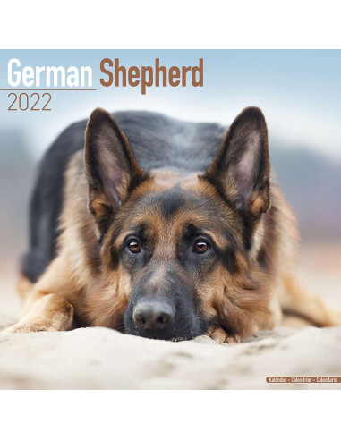 Kalender 2022 Germand Shepherd